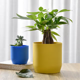 Plant Pot