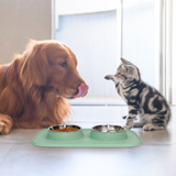 Pet Feeding Set with 2 Removable Bowls (400mL Each)