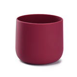 Plant Pot