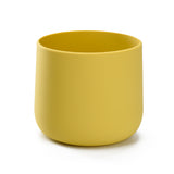 Plant Pot
