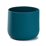 Plant Pot