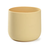 Plant Pot