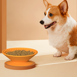 Large Pet Slow Feeder Bowl with Suction Base