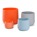 Plant Pot