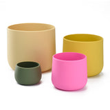 Plant Pot