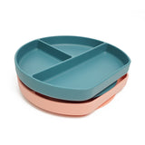 Silicone Suction Feeding Plate