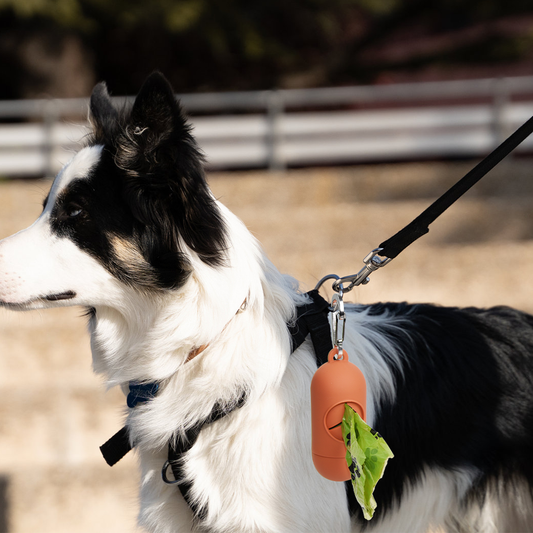 Dog Garbage Bag Dispenser