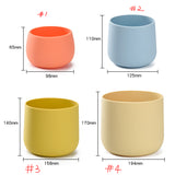 Plant Pot