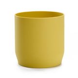Plant Pot