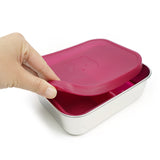 Stainless Lunch Box (2-compartment)