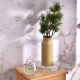 Silicone Vases