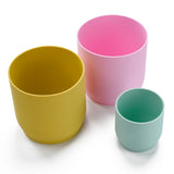 Plant Pot