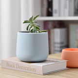 Plant Pot