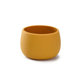 Plant Pot